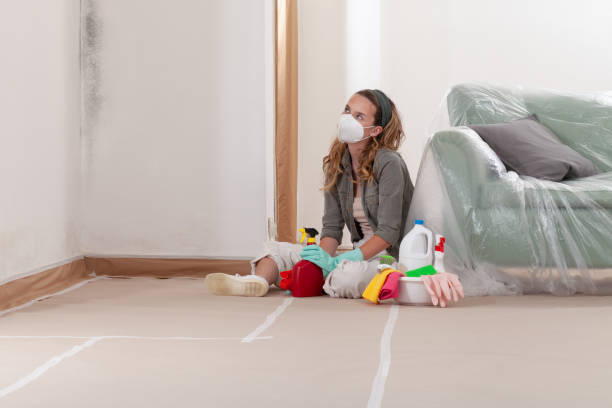 Trusted Mold Testing service in Comstock Park, MI - WQB Mold Removal